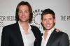 Filename=001.jpg
Filesize=18KiB
Dimensions=600x396
Date added=Mar 13, 2011 001.jpg